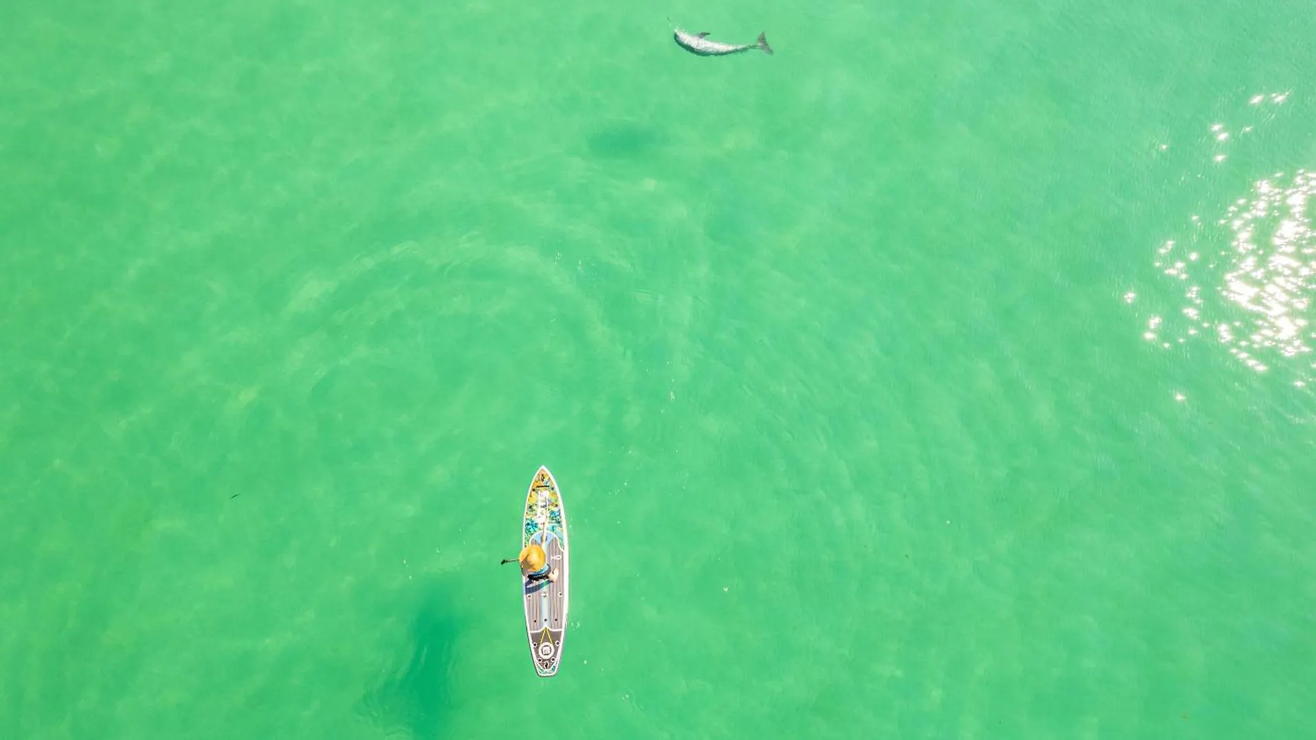 Sandpiper Cove 3209- By Holiday Isle Properties Destin United States